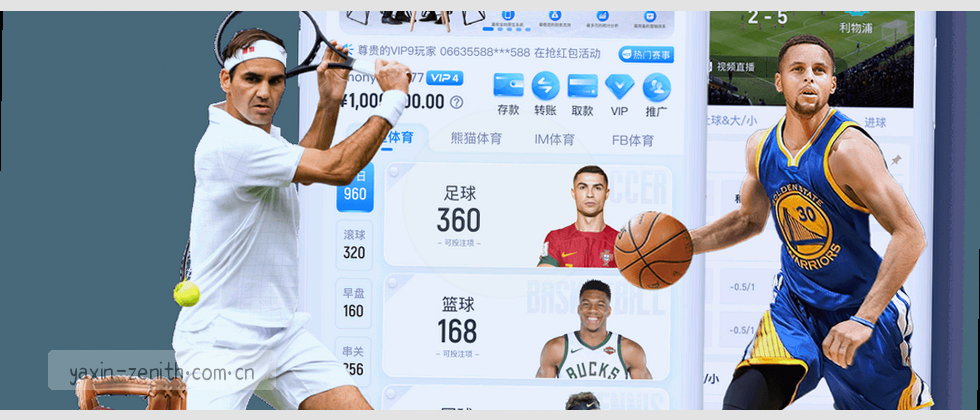 隐私政策与用户权益说明
